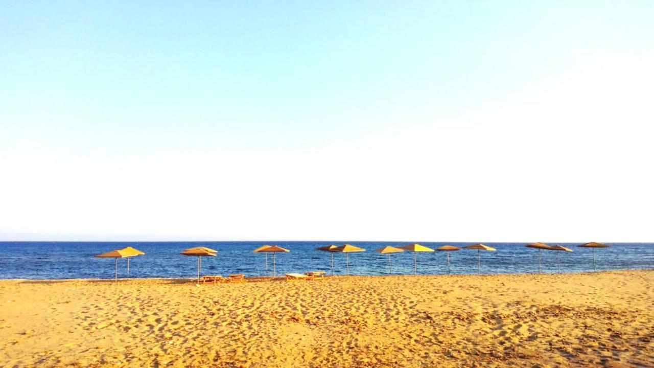 Terre Di Mare Near The Sandy Beach With Pool, Parking & Wifi Фонтане-Бьянке Экстерьер фото